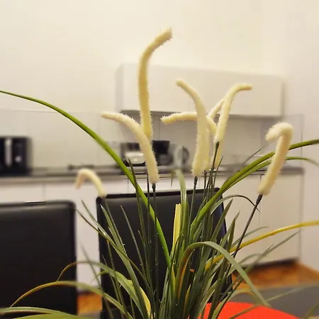 Central Apartment *