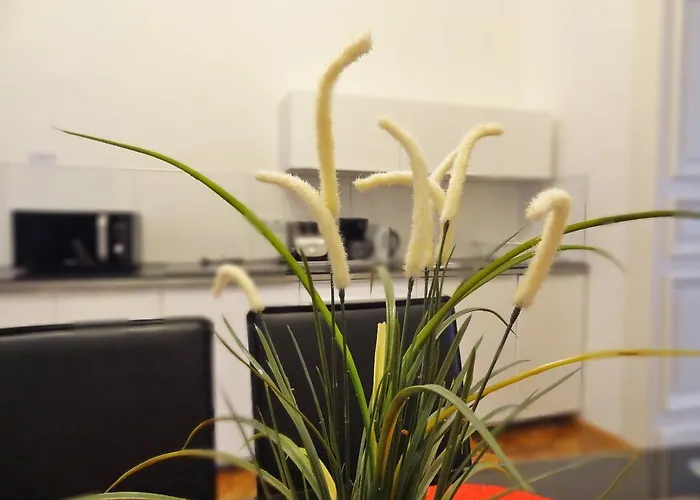 Central Apartment *